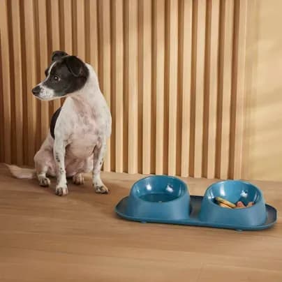 Comedero doble para perros y gatos