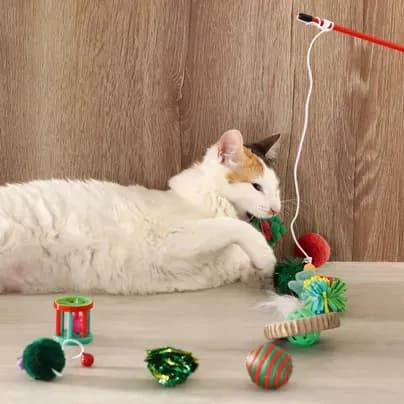 Set juguetes para gatos navideño