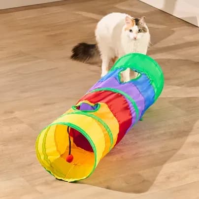 Túnel para gatos