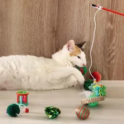 Set juguetes para gatos navideño-0