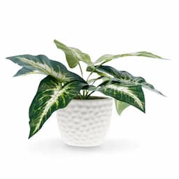 Planta Artificial Decorativa-0