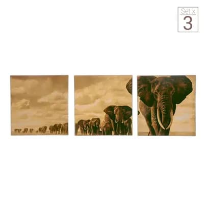 Set x 3 Cuadros Elefantes