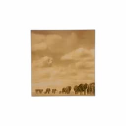Set x 3 Cuadros Elefantes-1