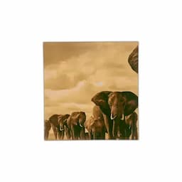 Set x 3 Cuadros Elefantes-3