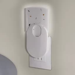 Trampa para Insectos-0