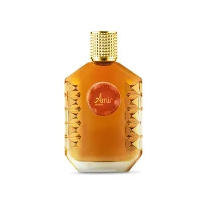 Fragancia Amir Zinergy x 90 ml
