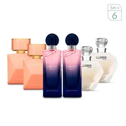 Combo x6: 2 Alma + 2 Muse + 2 Luxee Zinergy